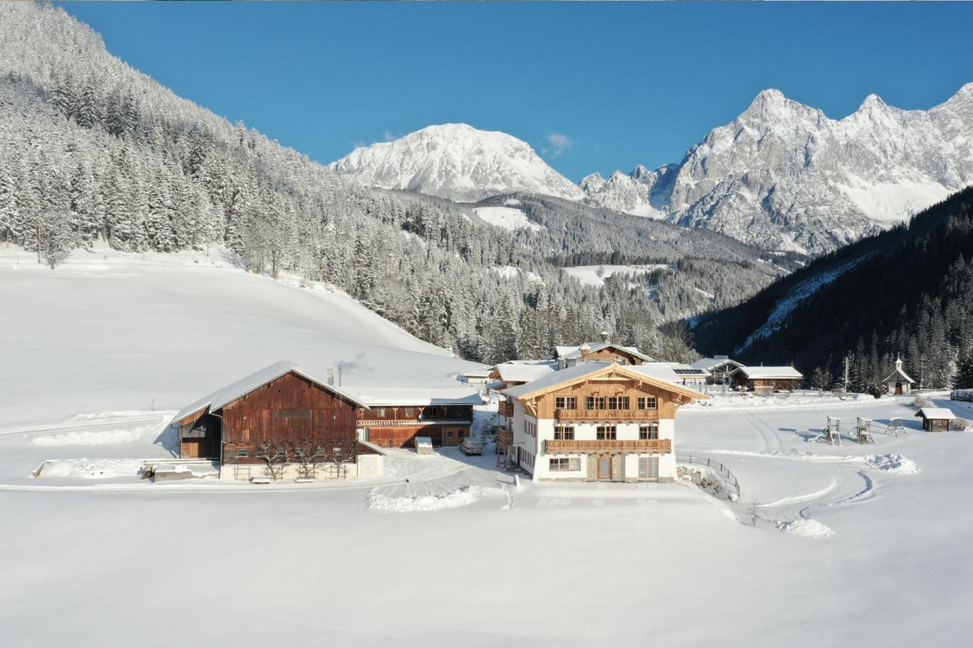 Ferienhaus Mandlberggut By Globboard シュラートミンク エクステリア 写真